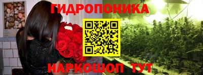 ECSTASY Будённовск