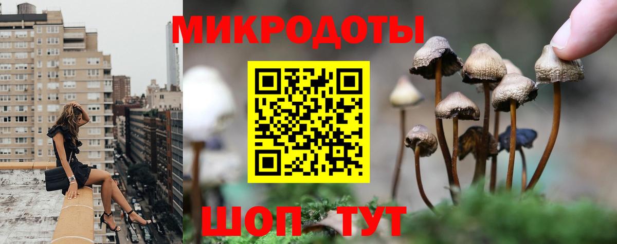 Галлюциногенные грибы MAGIC MUSHROOMS Светлоград